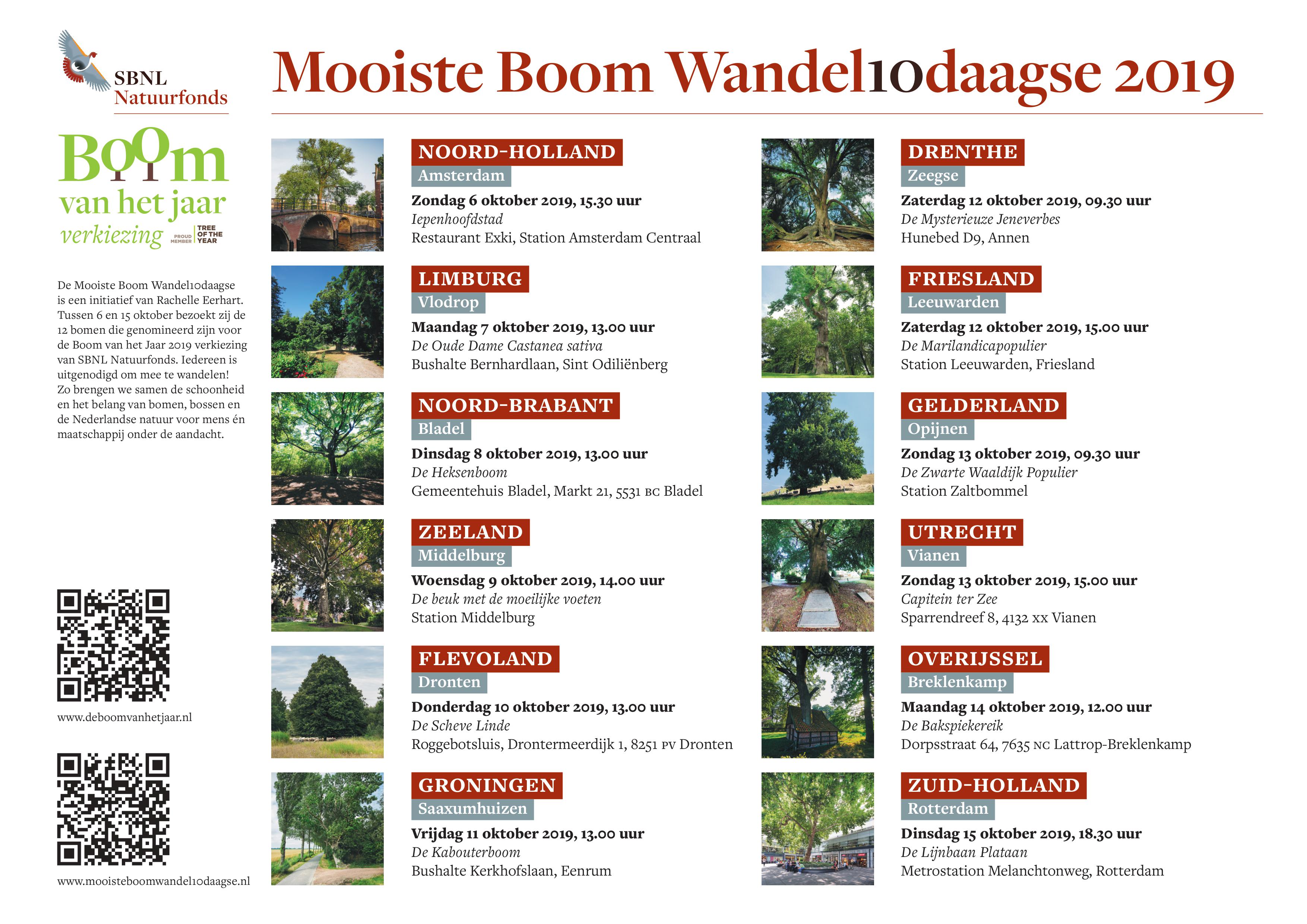 Flyer Wandel10daagse.jpg