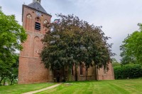 Groningen Middelstum RV SMALL.jpg