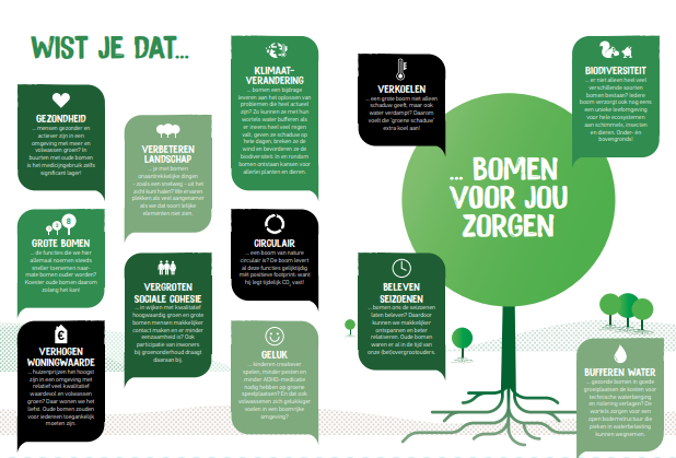 Functies van Bomen pag 2