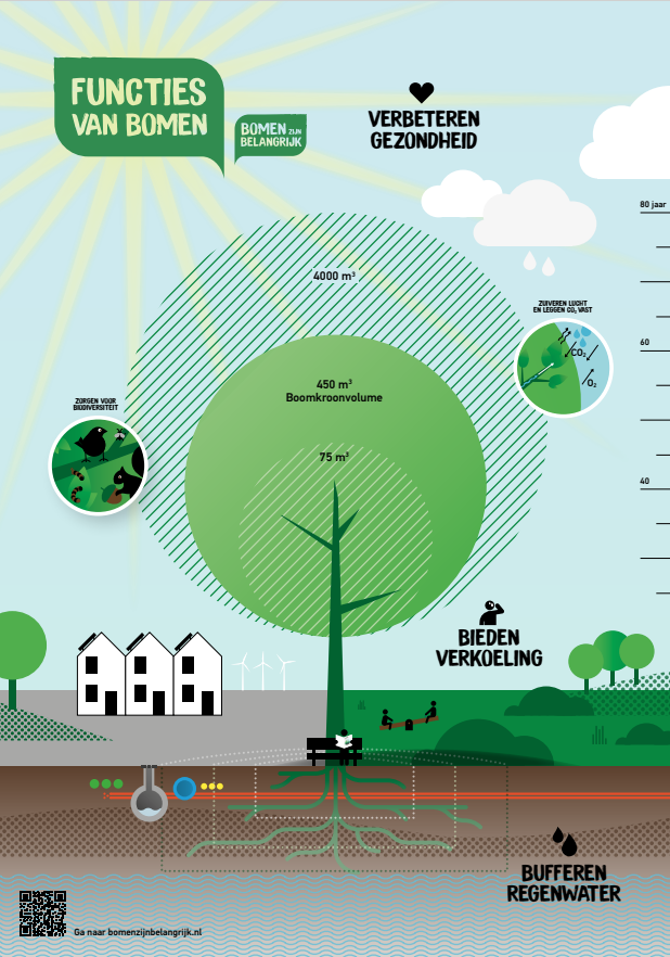 Functies van Bomen pag 1