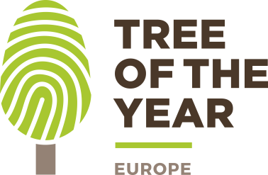 logo european tree of the year